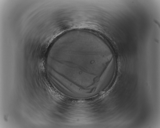 X0000101971497200808081539