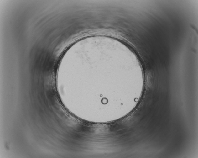 X0000101971498200808081539