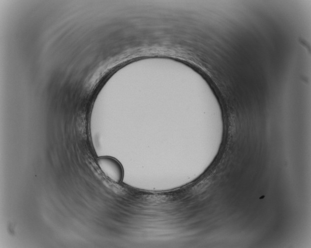 X0000101971499200808081539