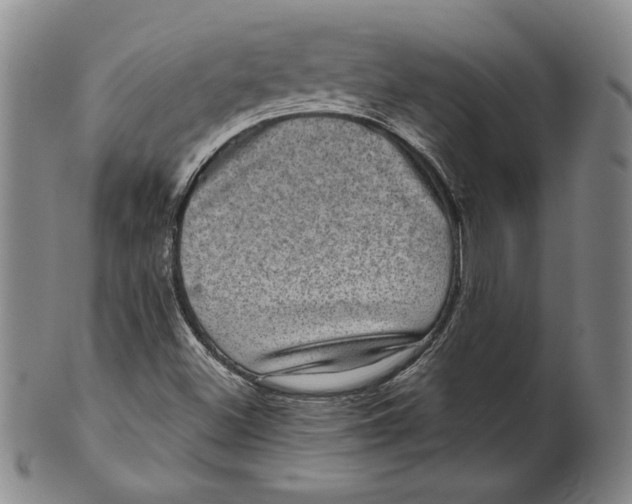 X0000101971500200808081539