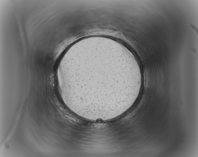 X0000101971501200808081539