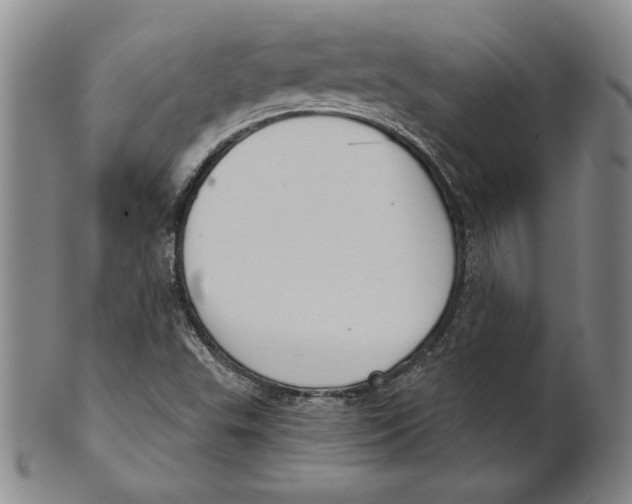 X0000101971503200808081539