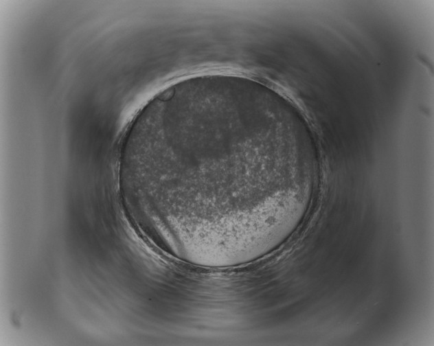 X0000101971504200808081539