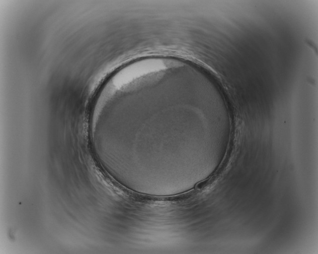 X0000101971506200808081539