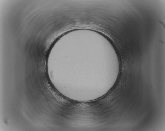 X0000101971507200808081539