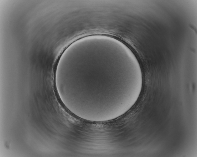 X0000101971508200808081539