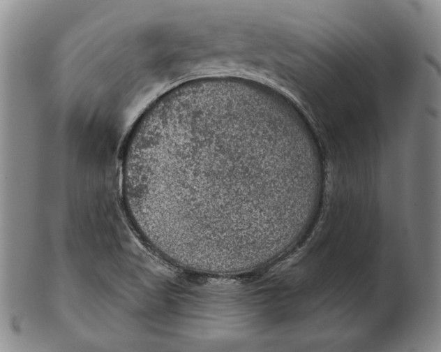 X0000101971509200808081539