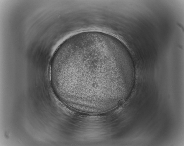 X0000101971510200808081539