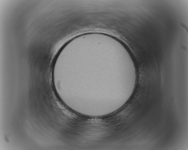 X0000101971511200808081539