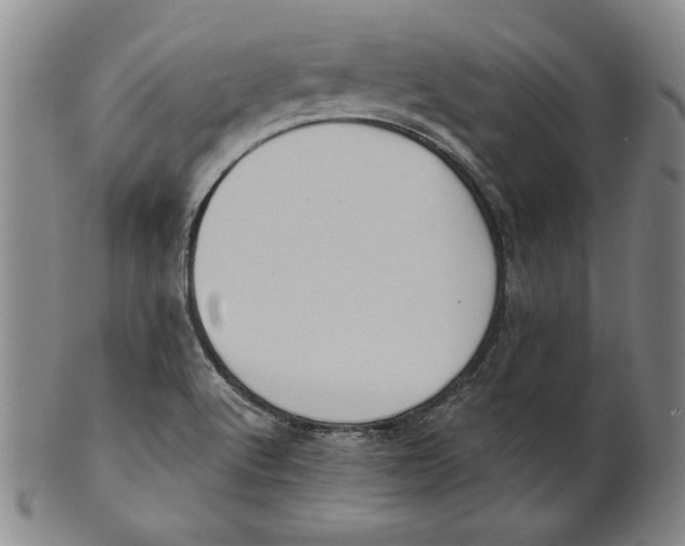 X0000101971512200808081539