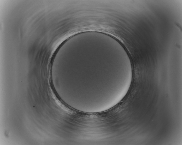 X0000101971515200808081539