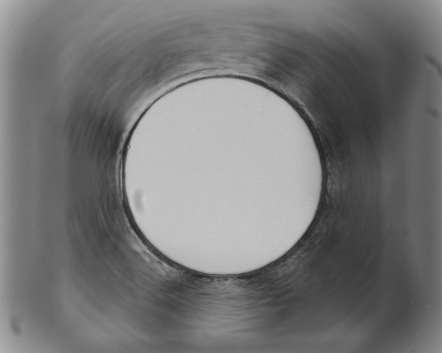 X0000101971516200808081539