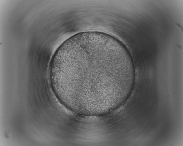 X0000101971517200808081539