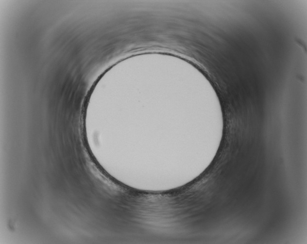 X0000101971518200808081539