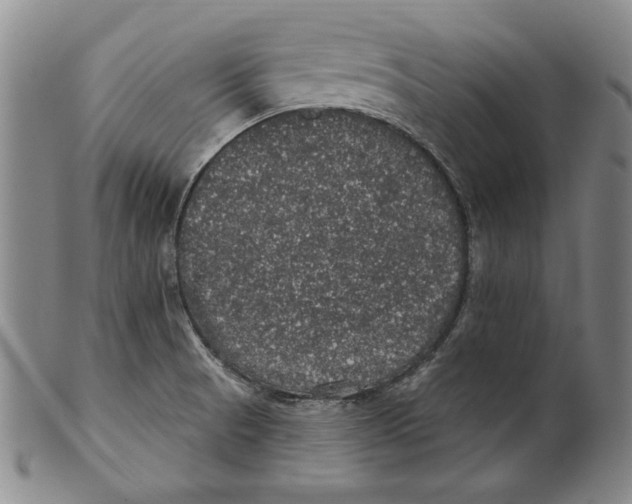 X0000101971521200808081539