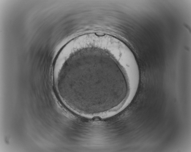 X0000101971522200808081539