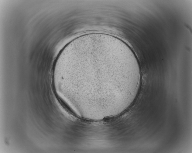 X0000101971523200808081539