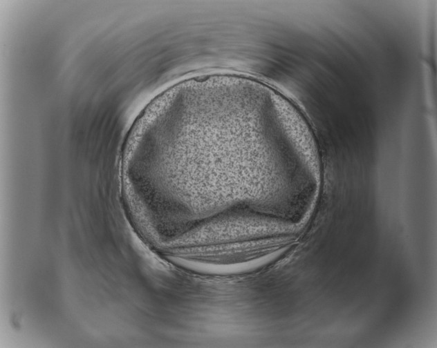 X0000101971524200808081539