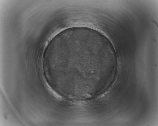 X0000101971525200808081539