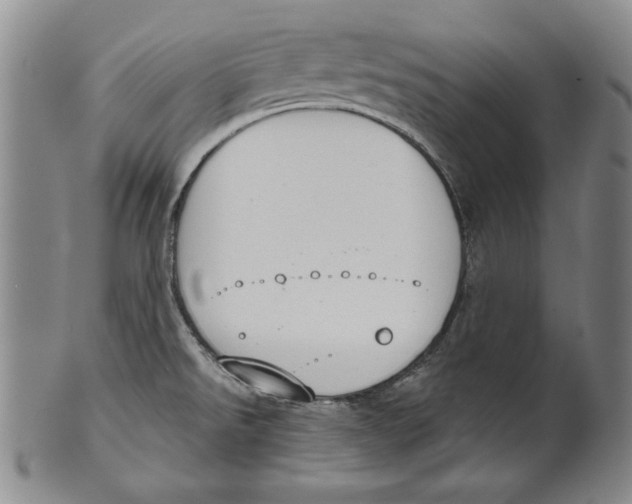 X0000101971526200808081539