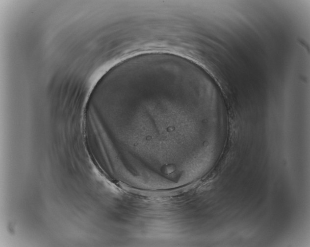 X0000101971527200808081539