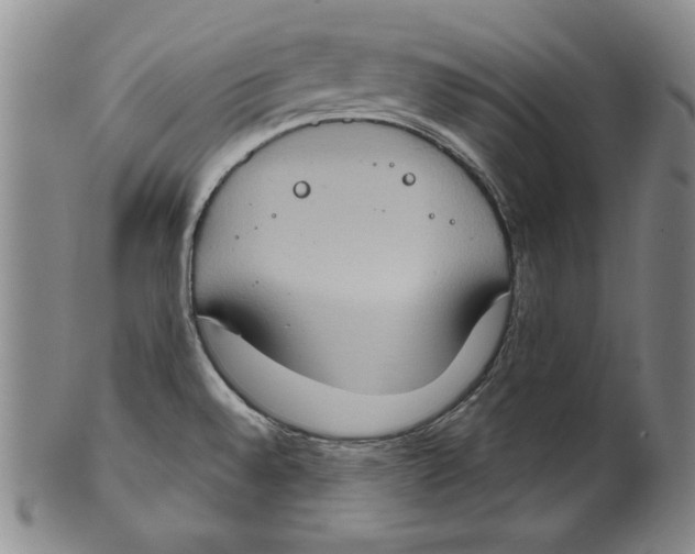 X0000101971528200808081539