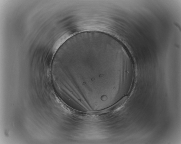 X0000101971529200808081539