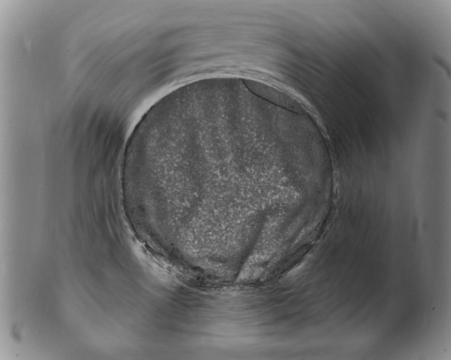 X0000101971530200808081539