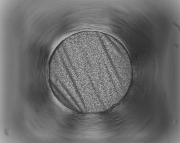 X0000101971531200808081539