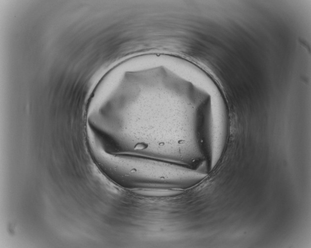 X0000101971532200808081539