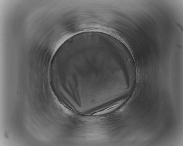 X0000101971533200808081539