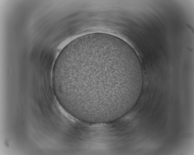 X0000101971535200808081539