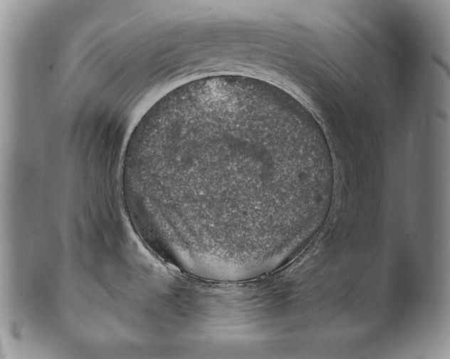 X0000101971536200808081539