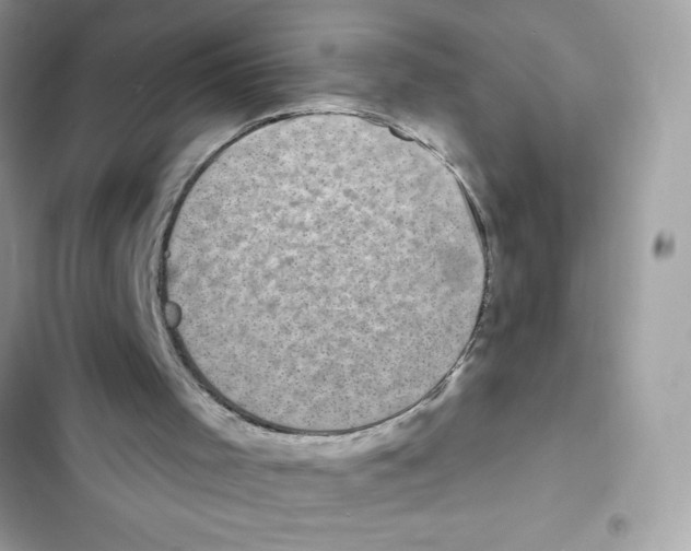 X0000101970001200808151349