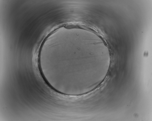 X0000101970002200808151349