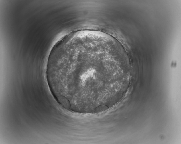 X0000101970003200808151349