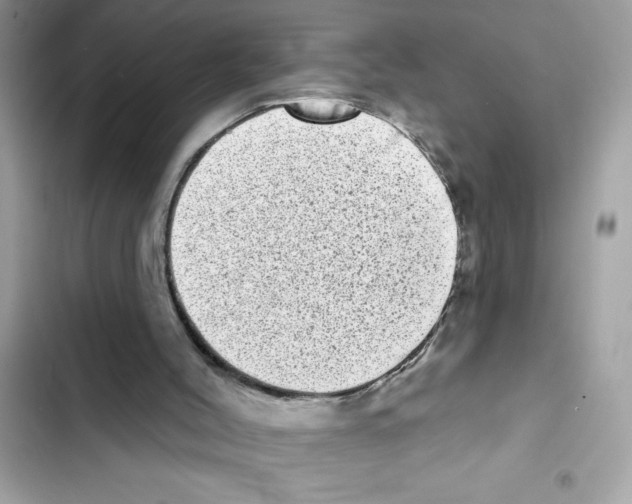 X0000101970004200808151349