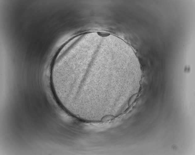 X0000101970005200808151349