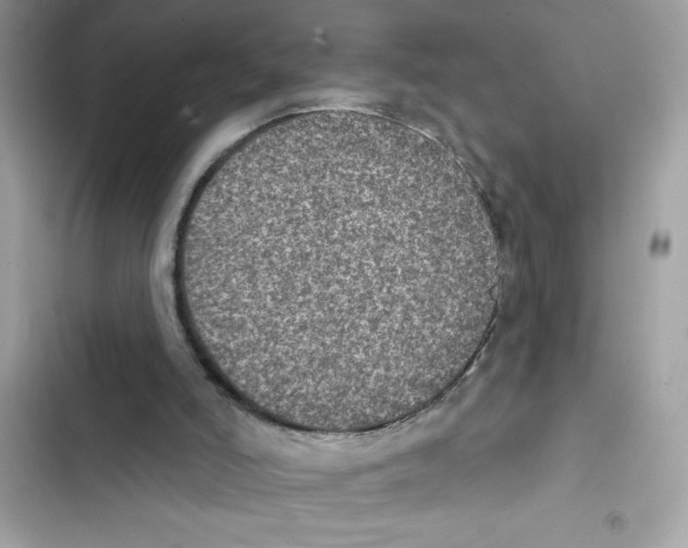 X0000101970006200808151349