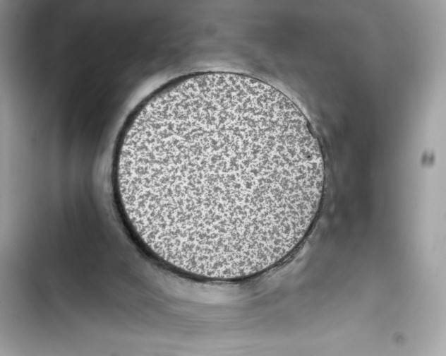 X0000101970008200808151349