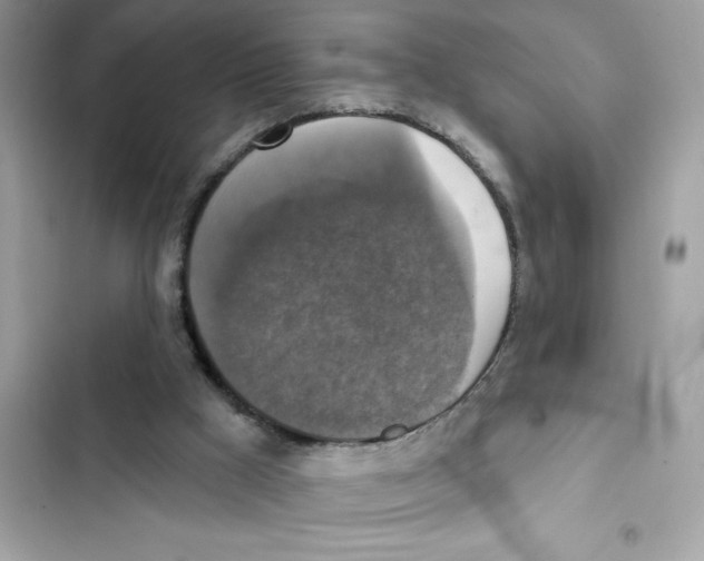 X0000101970009200808151349