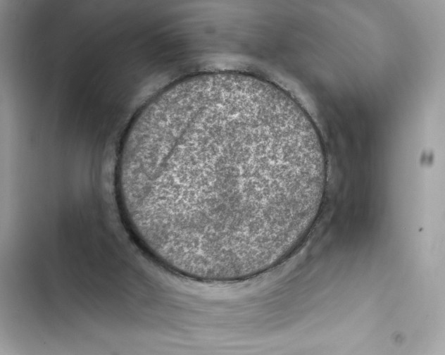 X0000101970010200808151348