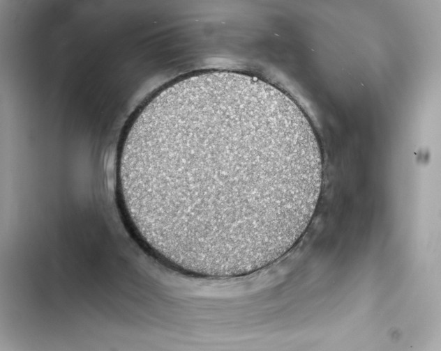 X0000101970011200808151348