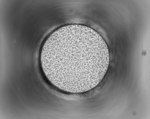 X0000101970012200808151348