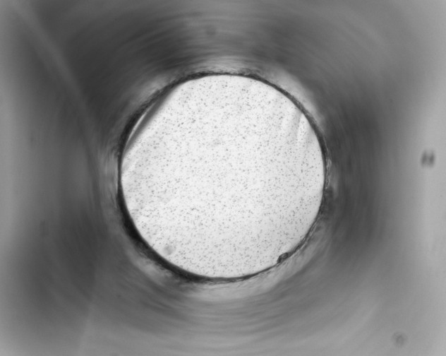X0000101970013200808151348