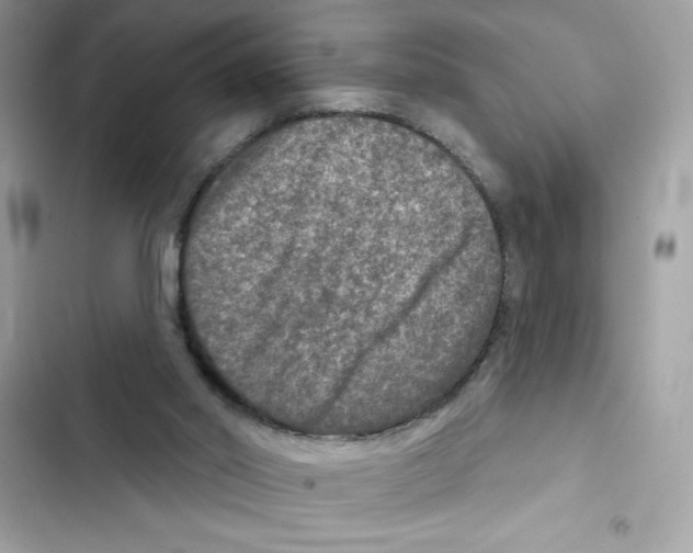 X0000101970014200808151348