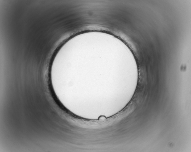 X0000101970015200808151348
