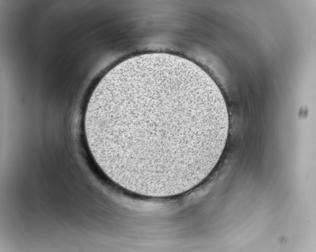 X0000101970016200808151348