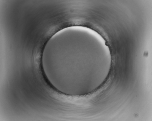 X0000101970018200808151348