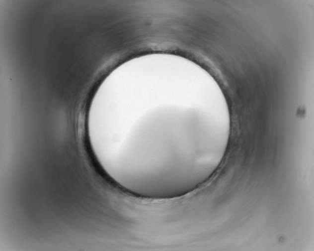 X0000101970019200808151348